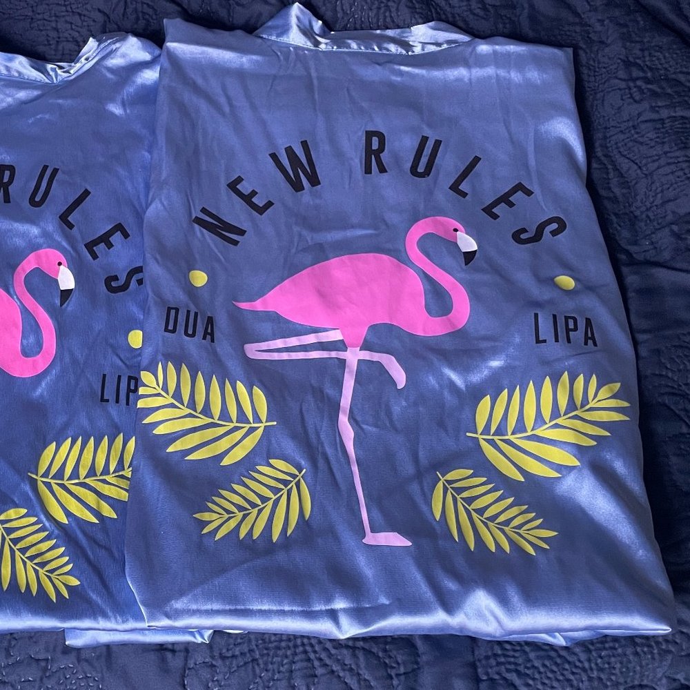 Dua Lipa New Rules Light Blue Silk Robe